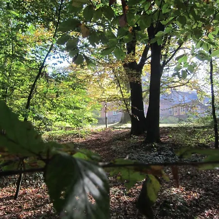 Gæstehus Pension-Haus-Heidetal-Direkt-I-D-Heide-Am-Wilseder-Berg-Im-Naturschutzgebiet *
