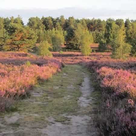 Gæstehus Pension-Haus-Heidetal-Direkt-I-D-Heide-Am-Wilseder-Berg-Im-Naturschutzgebiet