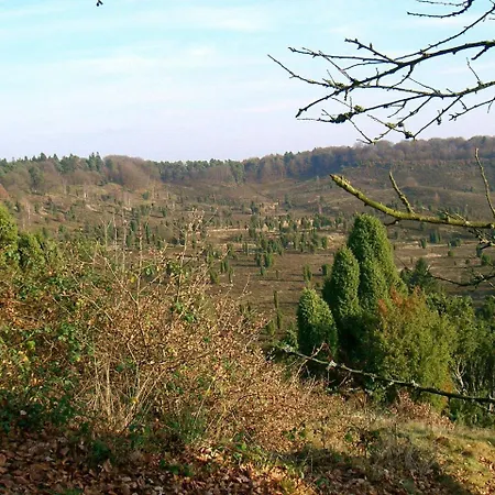 Gæstehus Pension-Haus-Heidetal-Direkt-I-D-Heide-Am-Wilseder-Berg-Im-Naturschutzgebiet *