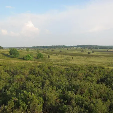 Pension-Haus-Heidetal-Direkt-I-D-Heide-Am-Wilseder-Berg-Im-Naturschutzgebiet