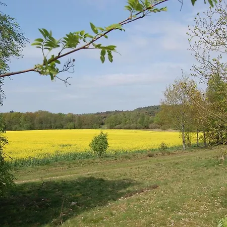 Pension-Haus-Heidetal-Direkt-I-D-Heide-Am-Wilseder-Berg-Im-Naturschutzgebiet Gæstehus Bispingen
