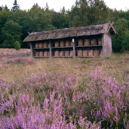 Pension-Haus-Heidetal-Direkt-I-D-Heide-Am-Wilseder-Berg-Im-Naturschutzgebiet Gæstehus *