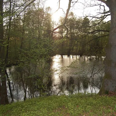 Pension-Haus-Heidetal-Direkt-I-D-Heide-Am-Wilseder-Berg-Im-Naturschutzgebiet * Bispingen