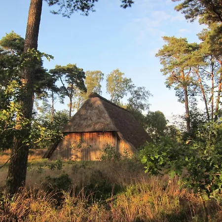 Pension-Haus-Heidetal-Direkt-I-D-Heide-Am-Wilseder-Berg-Im-Naturschutzgebiet Bispingen
