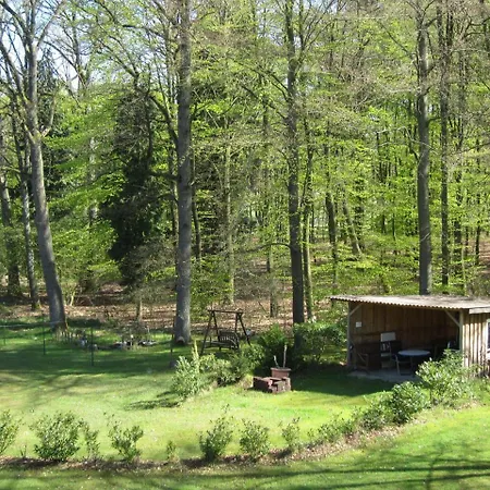 Pension-Haus-Heidetal-Direkt-I-D-Heide-Am-Wilseder-Berg-Im-Naturschutzgebiet Gæstehus *