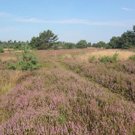Pension-Haus-Heidetal-Direkt-I-D-Heide-Am-Wilseder-Berg-Im-Naturschutzgebiet Gæstehus *