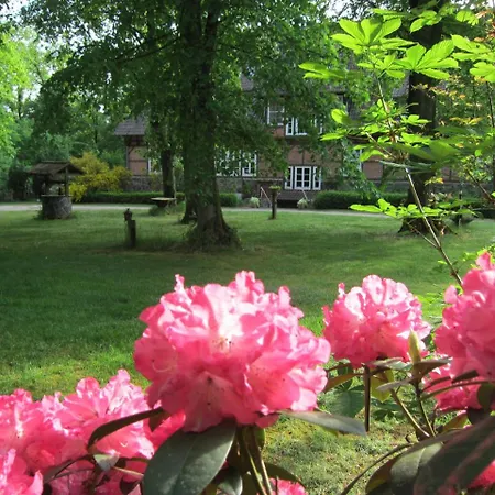 Pension-Haus-Heidetal-Direkt-I-D-Heide-Am-Wilseder-Berg-Im-Naturschutzgebiet Gæstehus *