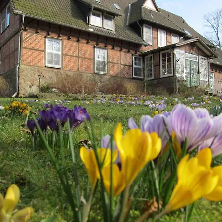 Pension-Haus-Heidetal-Direkt-I-D-Heide-Am-Wilseder-Berg-Im-Naturschutzgebiet Bispingen