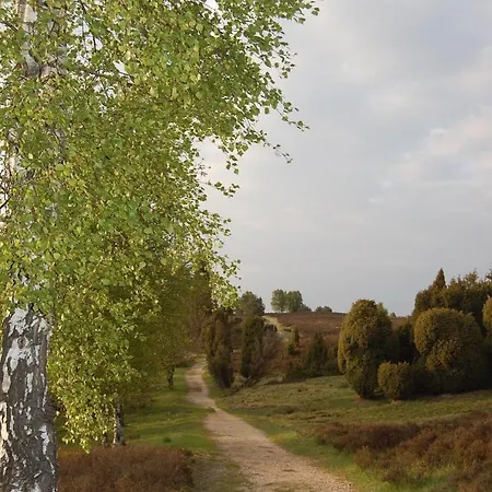 Pension-Haus-Heidetal-Direkt-I-D-Heide-Am-Wilseder-Berg-Im-Naturschutzgebiet Vendégház