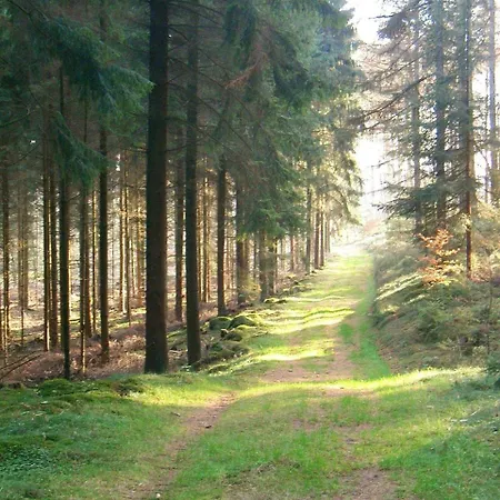 Pension-Haus-Heidetal-Direkt-I-D-Heide-Am-Wilseder-Berg-Im-Naturschutzgebiet Bispingen