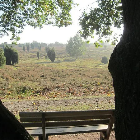 Pension-Haus-Heidetal-Direkt-I-D-Heide-Am-Wilseder-Berg-Im-Naturschutzgebiet Gæstehus Bispingen