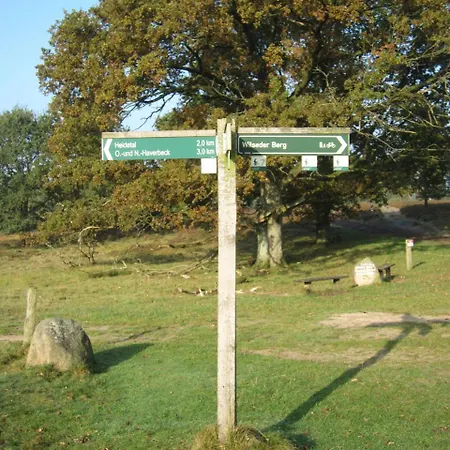 Pension-Haus-Heidetal-Direkt-I-D-Heide-Am-Wilseder-Berg-Im-Naturschutzgebiet